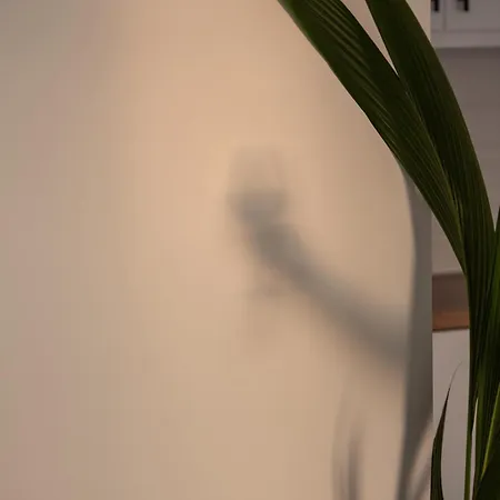 بيت للعطل Prive